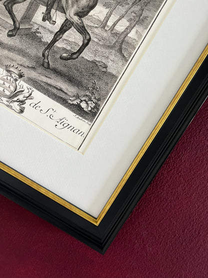 De La Guérinière Prints | The Passage